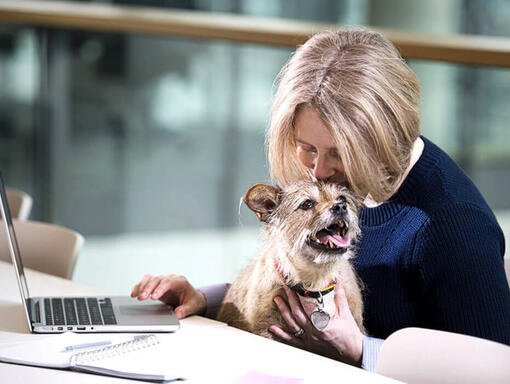 Kvinne og hund ved laptop