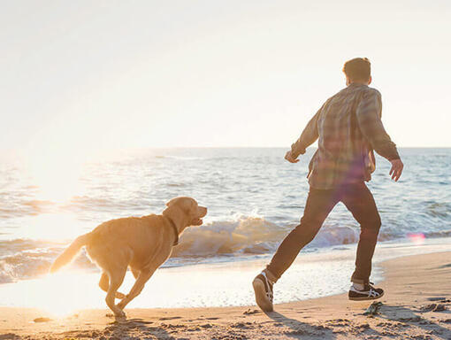 Mann og hund loper pa stranden