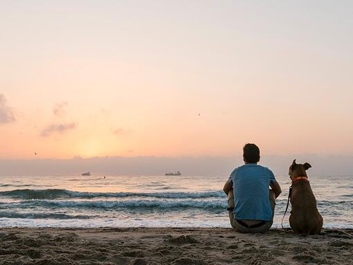 Mann og hund ser på en solnedgang