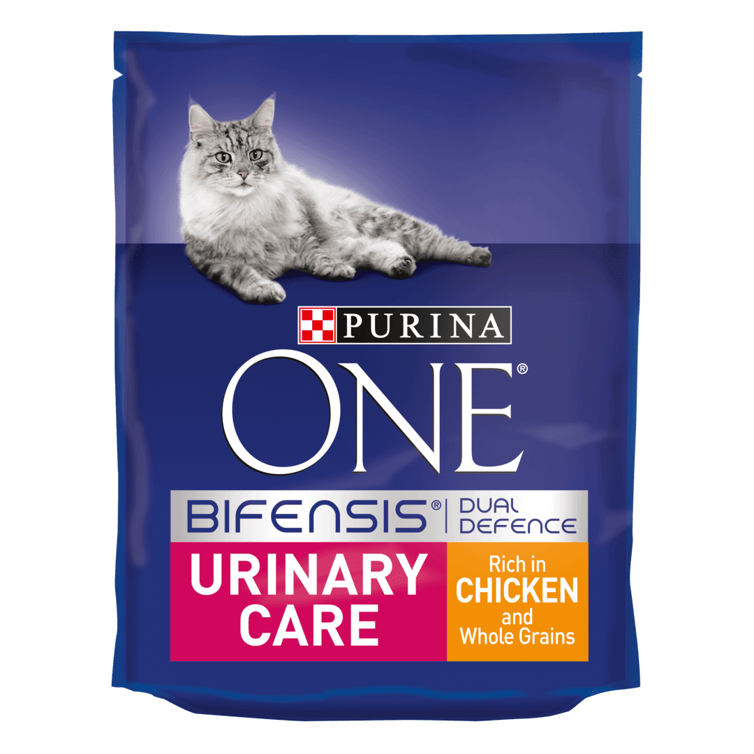 PURINA ONE Urinary Care Chicken and Wheat Dry Cat Food