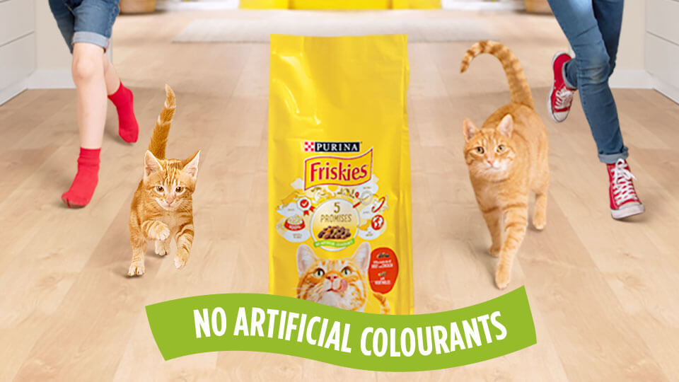 Friskies kattemat