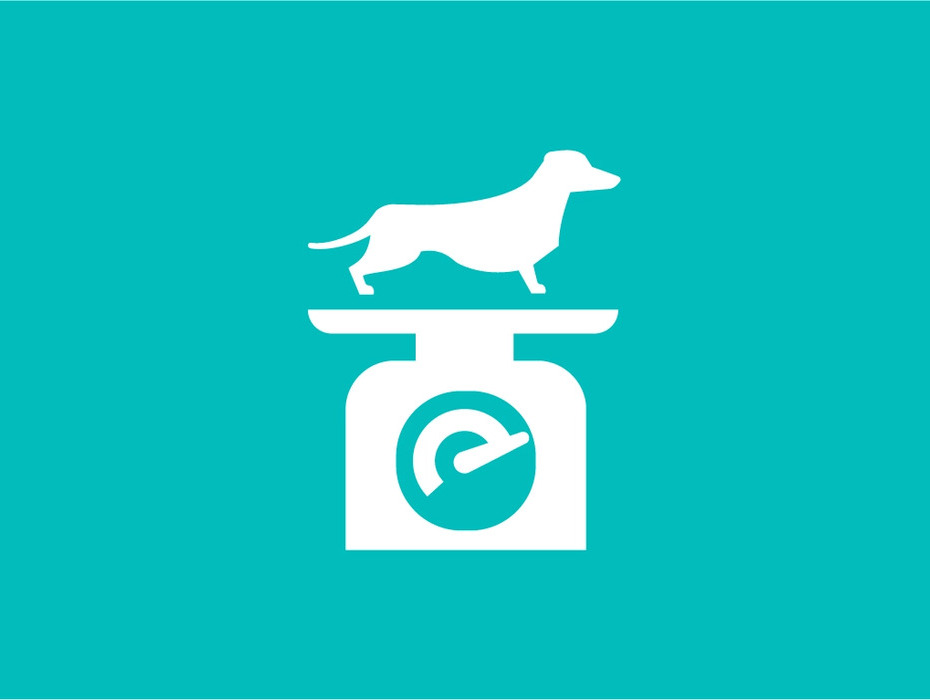 Hunden står på vekta