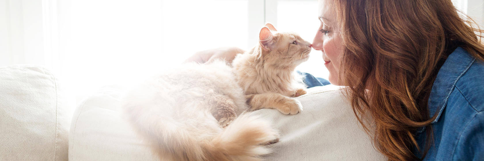 Hvit fluffy katt berører nesen til en kvinne