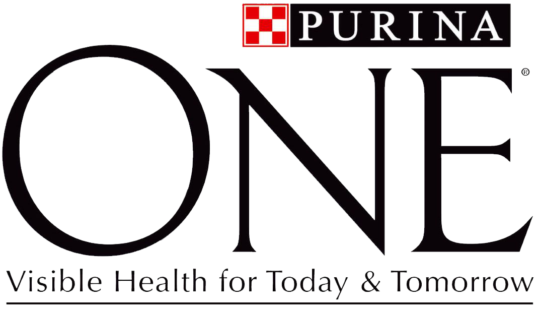 Purina ONE Dog