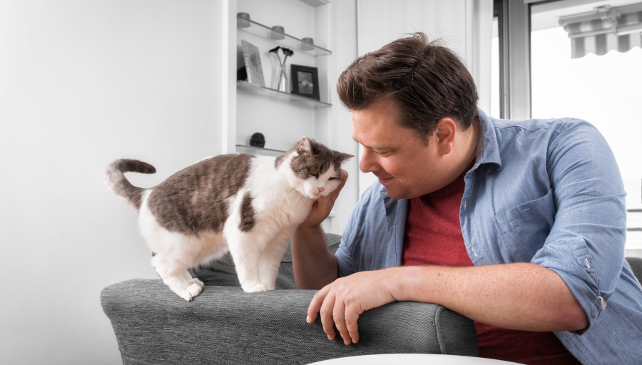 En mann stryker kattens ansikt mens den står på sofaens armlene