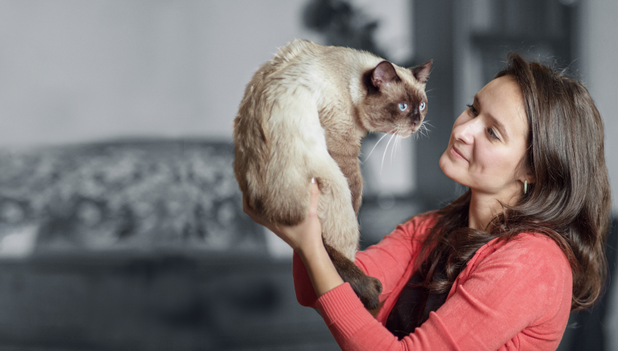 En kvinne ser på kattens ansikt mens hun holder den opp i luften