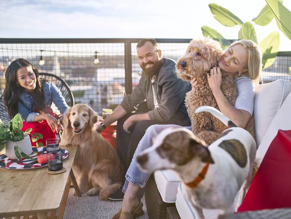 Gruppe mennesker sammen med 3 hunder