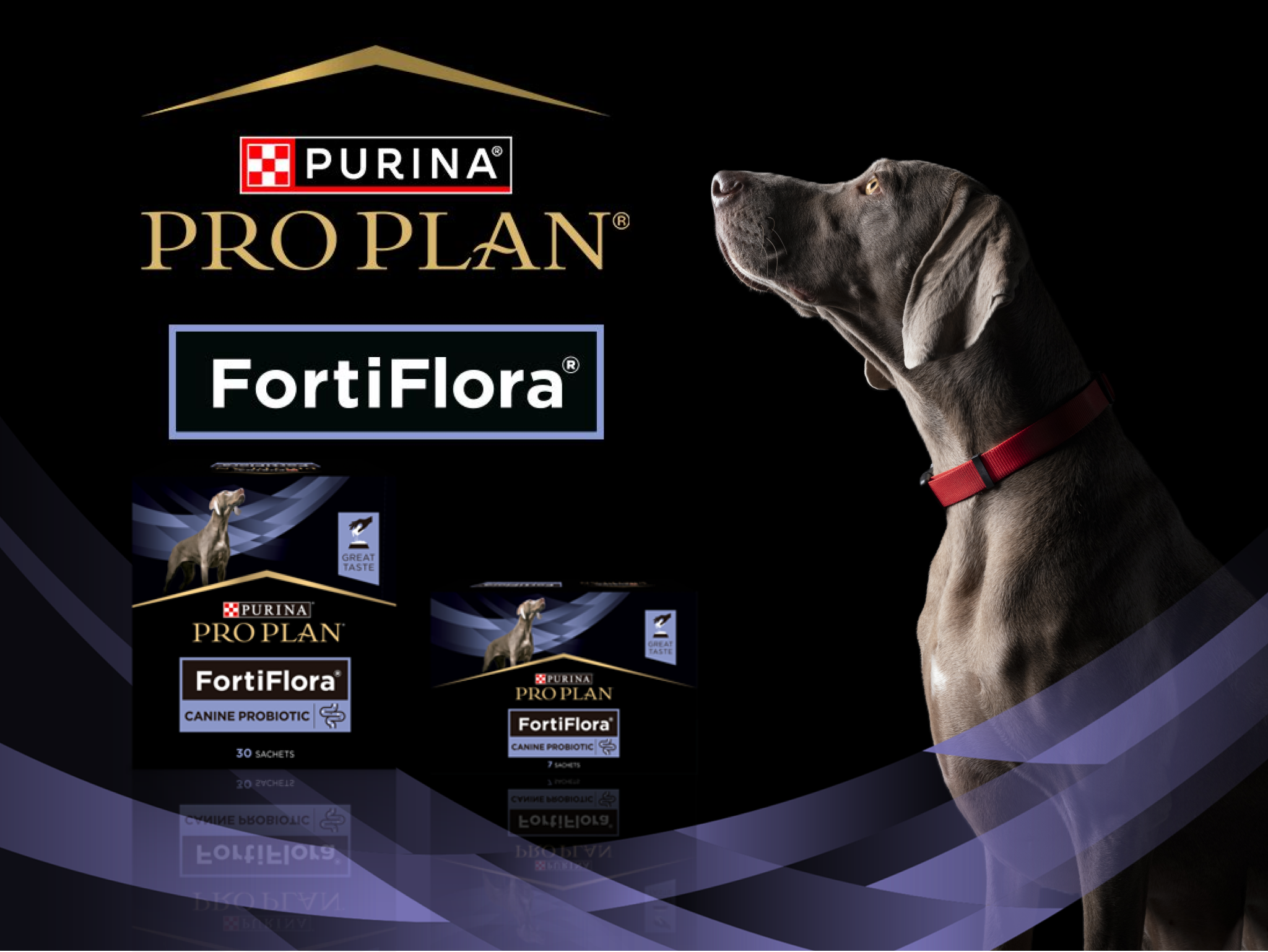 FortiFlora® Canine Probiotic