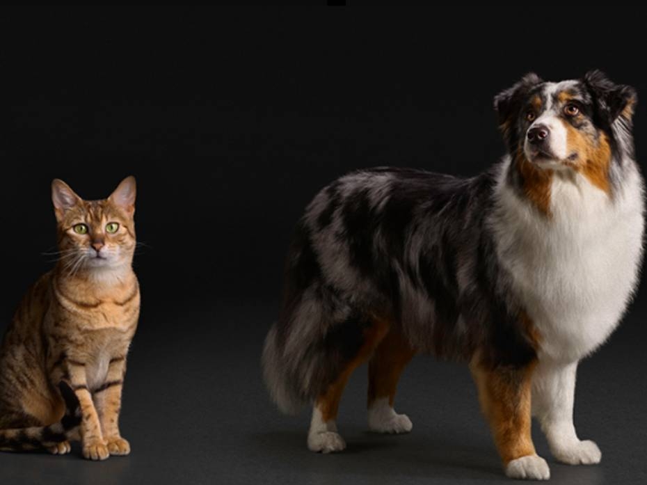 Meld deg på nyhetsbrevet vårt og få rabatter