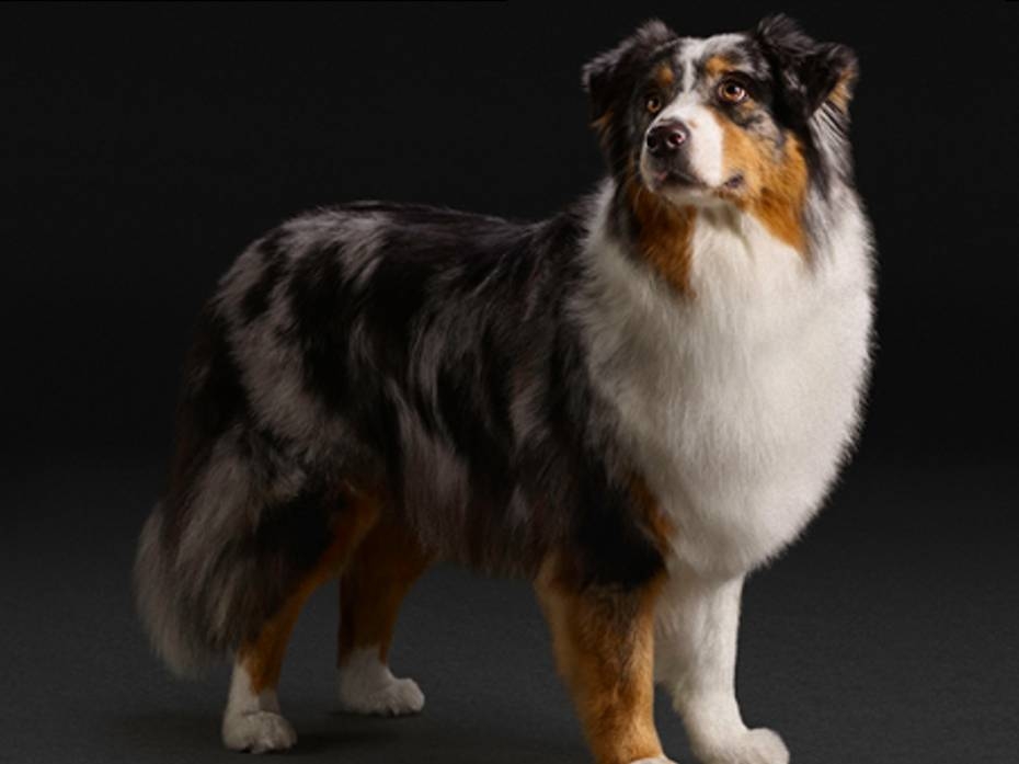 Meld deg på nyhetsbrevet vårt og få rabatt på fôr