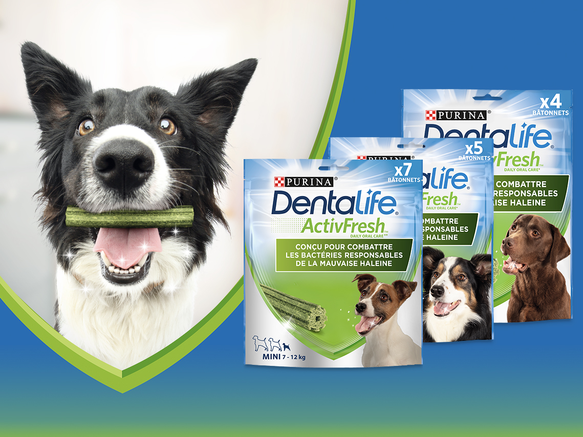 PURINA® Dentalife® ActivFresh