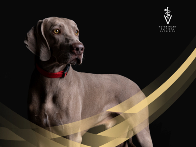 PRO PLAN® Veterinary Diets - spesialfôr til hund