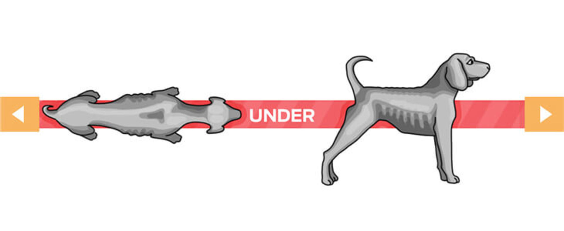 Kraftig undervektig og svært tynn
