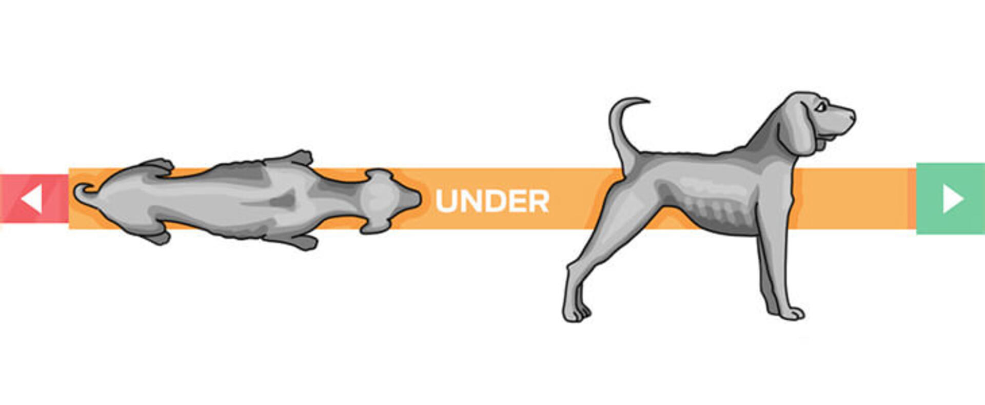 Tynn og litt undervektig