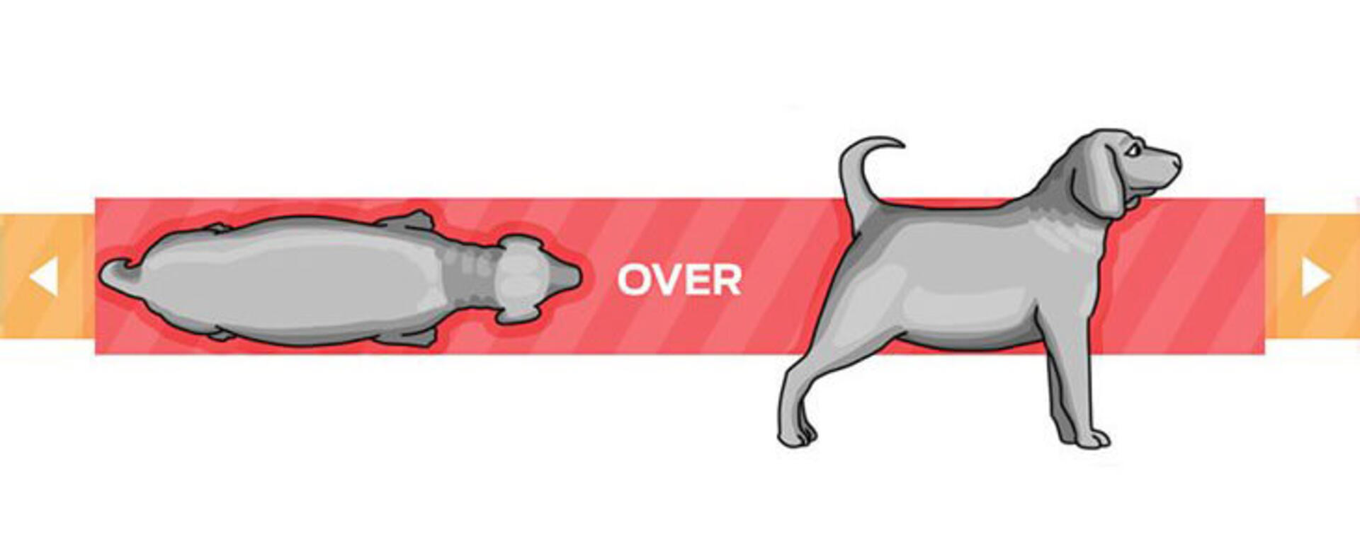 Overvektig og klinisk overvektig