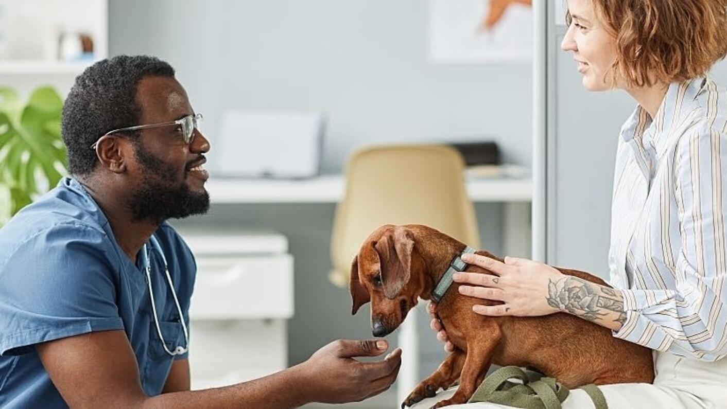 En veterinær kneler foran en klient som har en hund i fanget.