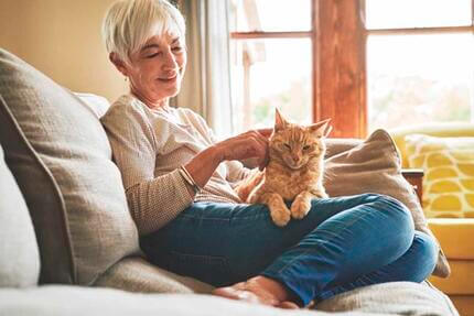 Hvorfor er katten min syk, og hvordan kan jeg støtte mikrobiomet i magetarmsystemet dens