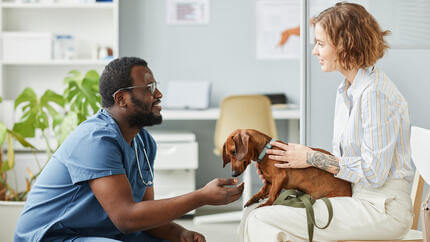 Valp i veterinær venterom med veterinær og eier