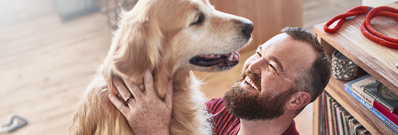 Purina Dog