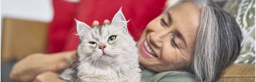 Purina Cat