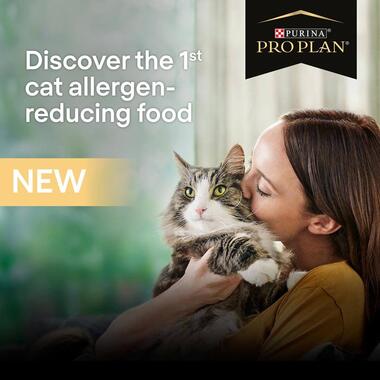 PRO PLAN Allergen Reducing Sterlised LIVECLEAR Turkey Dry Cat Food