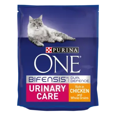 PURINA ONE Urinary Care Chicken and Wheat Dry Cat Food
