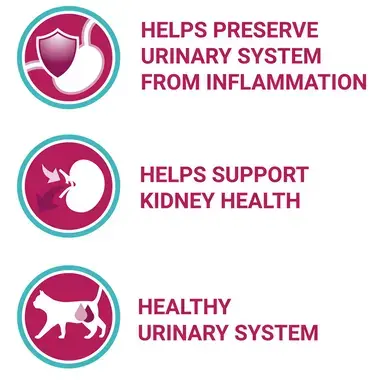 PURINA ONE Urinary Care Chicken and Wheat Dry Cat Food