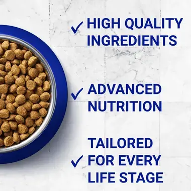 PURINA ONE Urinary Care Chicken and Wheat Dry Cat Food