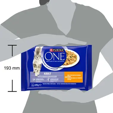 PURINA ONE ADULT Mini Filets i saus med Kylling og Grønne bønner
