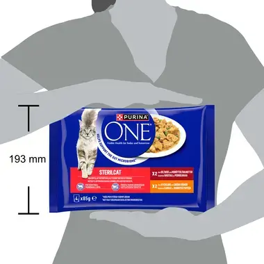PURINA® ONE® STERILCAT, med Okse og Gulrøtter, og Mini Filets i saus med Kylling och Grønne bønner