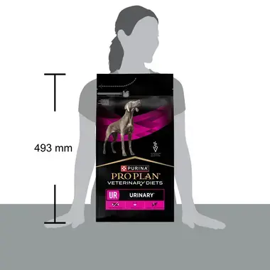 PRO PLAN® VETERINARY DIETS Canine UR Urinary (Tørrfôr)