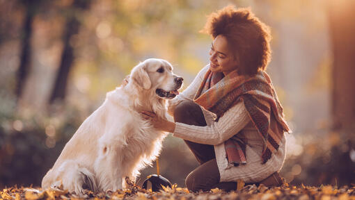 kvinner med golden retriever i parken