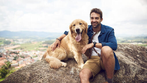 Mann med golden retriever på berget