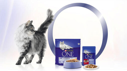 Purina ONE-innovasjon