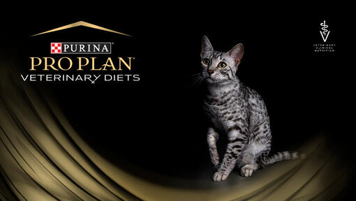 PRO PLAN® Veterinary Diets for katter