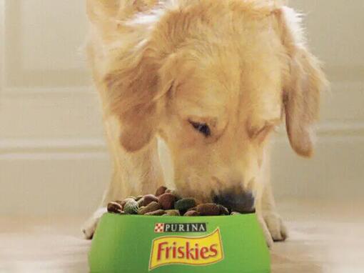 Friskies hund