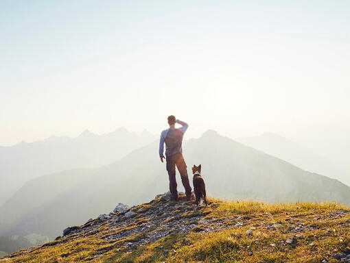 Våre ti siste Purina-fellesskapsforpliktelser