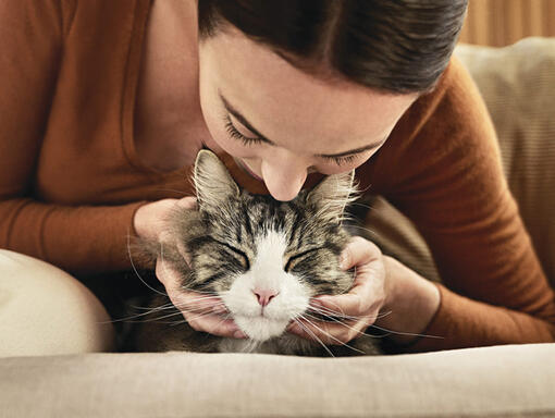 Katt og eier hypoallergisk