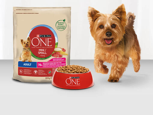 PURINA ONE MINI tørrfôr
