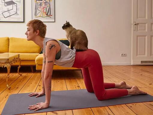 Kvinne gjør yoga med katt på ryggen