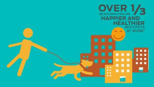 Over 1/3 tror ansatte er lykkeligere og sunnere med kjæledyr på jobben