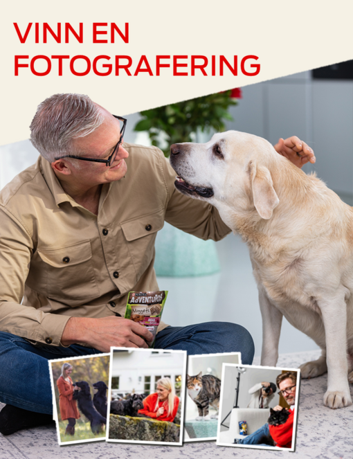 Vinn en fotografering