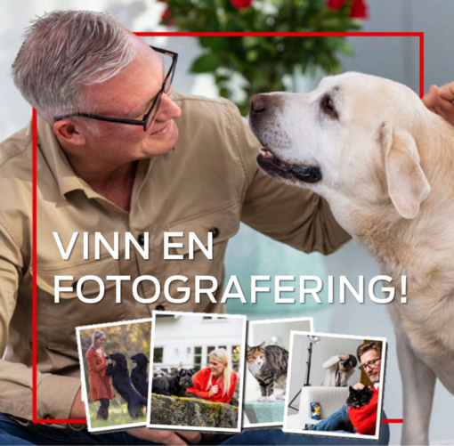Vinn en fotografering!