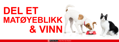 Del et matøyeblikk & vinn