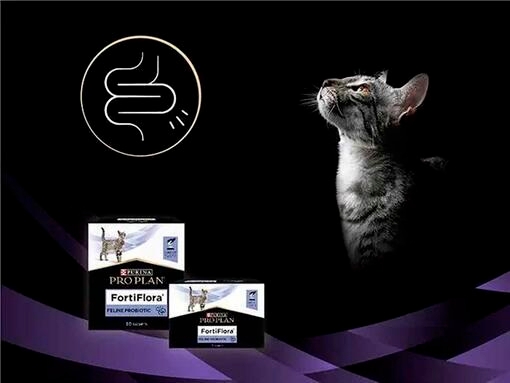 FortiFlora til Katt