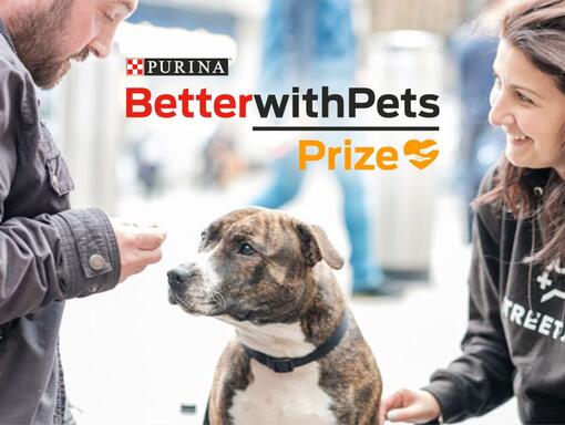 Winner of Better with Pets prize from Purina