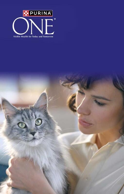 Purina ONE Cat