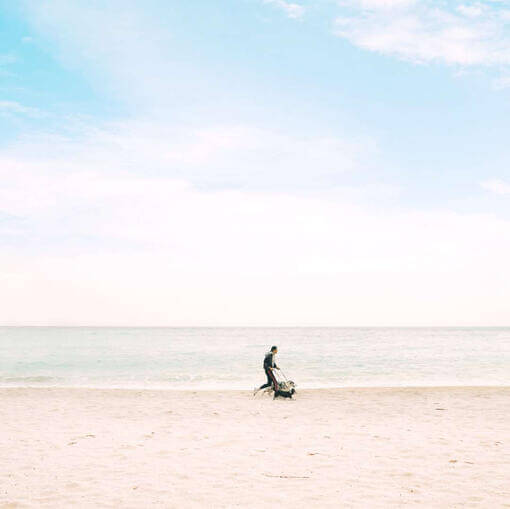 Blue Horizons & Purina- Gjenoppretting av livet i havet