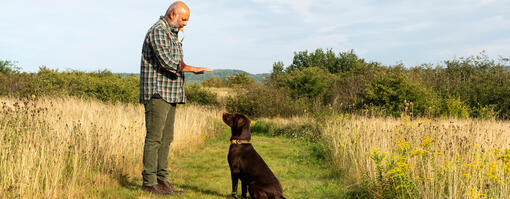 Mann i felten trening hund Hero