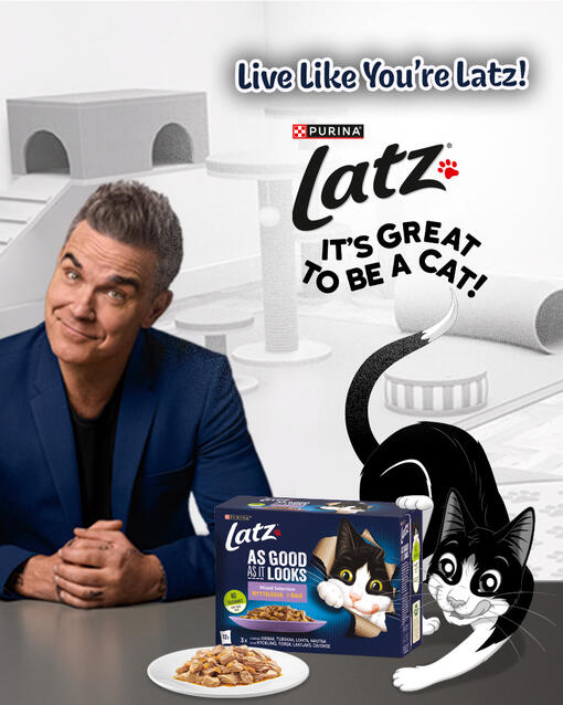 Latz. It's Great To Be a Cat ! By Robbie Williams 